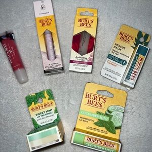 Burt’s bees lip care